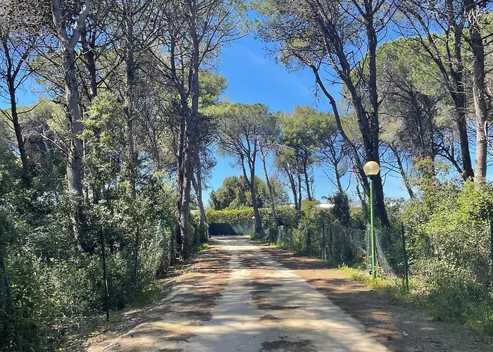 Будинок відпочинку Amazing In With Wifi *