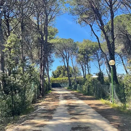 Nyaraló Amazing In With Wifi *